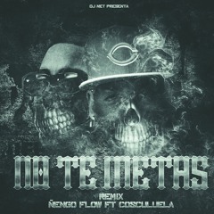 Ñengo Flow Ft. Cosculluela - No Te Metas (Prod. By Dj Net)