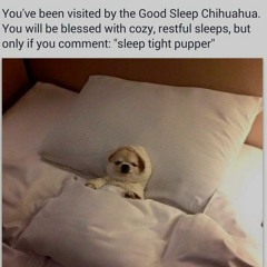 Sleep Tight Pupper