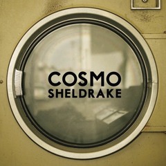 Tardigrade Song - Cosmo Sheldrake Vaporwave