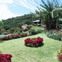 Track #3 (Acoustic guitar open low tuning - Strings, Flute)