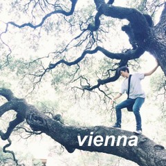 Billy Joel - Vienna (Cover)