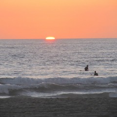 Track #4 Fallen off the Wagon | Organ Version Clip w/ drums