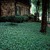 Artwork for Mark Kelly & Soraya - Under The Jasmin Tree