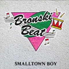 SmallTown Boy Remix