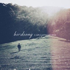 Birdsong