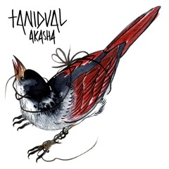 Tanidual - Akasha