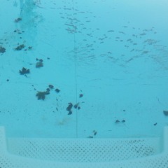 UG SoundSystem (Wagnoc x U-dog) Octocycle