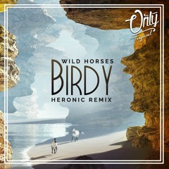 Birdy - Wild Horses (Heronic Remix) - Click Buy for Free Download
