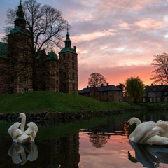 Rosenborg At Night