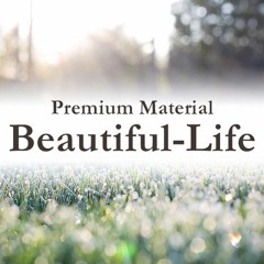 Beautiful Life(Royalty Free Music)
