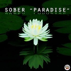 SOBER - Paradise (Gus Bonani Remix)[Want You Records JAPAN]