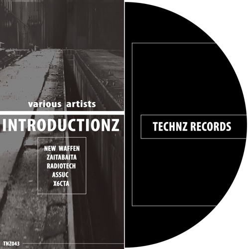 Various artist: Introductionz // TNZ043 //