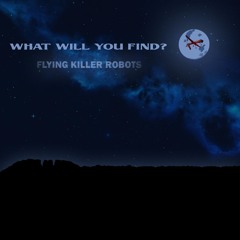 What Will You Find?