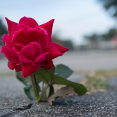 Good Guy (Sold Instrumental)