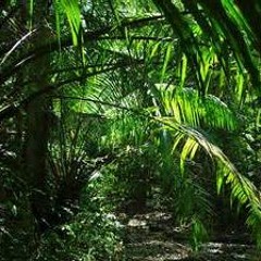 JungleTrapBeat