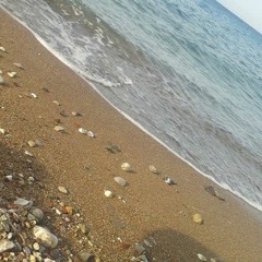 η πιο ωραία στη Ελλάδα(Personas_Koufos)