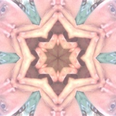 Patrick Danielson - Test Vurie