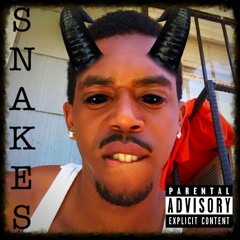 Snakes
