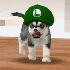 Nintendogs Street Marker MIDI