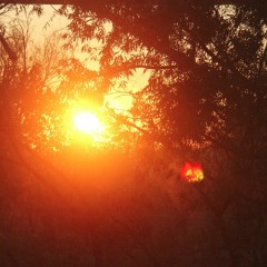 2009-12-19 Winter Solstice