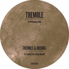Tremble - Penitentiary Dub / Trouble - Ruffcut008
