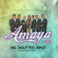 Amaya Hermanos - He Sentido Amor (Acapella Studio) DESCARGA COMPLETA ↓↓↓
