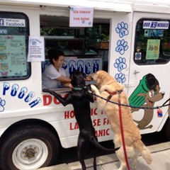 Turkey in the Straw - Ice Cream Truck Music - Westport - KCMO - June 2016