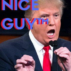 Nice Guy