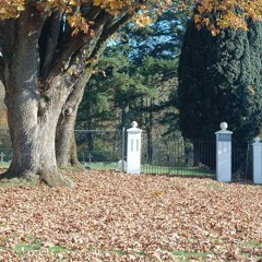 Cemetery Memory