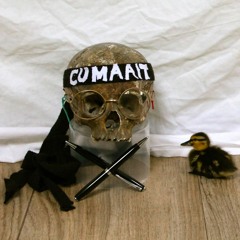 Ville Habitée - CUMAAIT @ Cocqu'Arts 2016