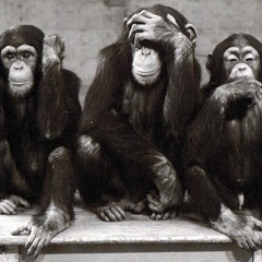 LIEGETOX (Maquette) - LE CIONER /  BEMZO / DANI FIVE