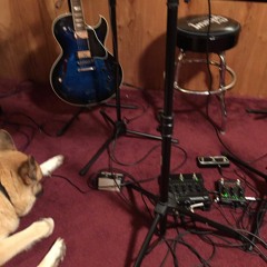 There's Something Happening Here