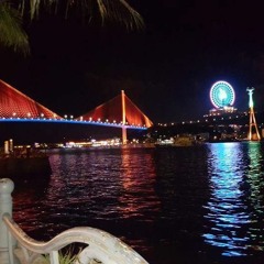 NST HOUSE -  THẢ THÍNH  DJ VIET ANH MASHUP