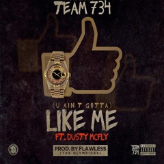 Team 734 F Dusty Mcfly (U Ain't Gotta Like Me)