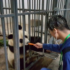 From Tokyo to Beijing