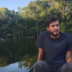 I went to the store one day - father john misty cover