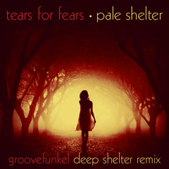 Tears for Fears - Pale Shelter (Groovefunkel Deep Shelter Remix)