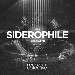 Bongani - Siderophile (Handsdown & Leigh Boy Remix) [Recovery Collective]
