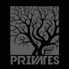 PRIVATES - Hologram