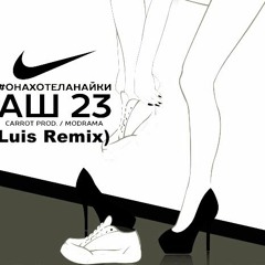 АШ23 - #ОнаХотелаНайки (Luis Remix)