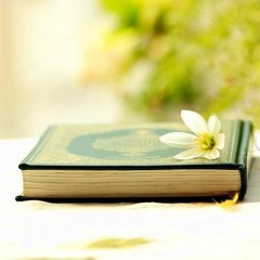 إبراهيم النقيب (حافظ القرآن رووعة)