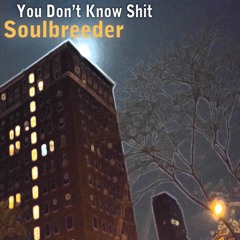 Soulbreeder - You Don't Know Shit (After Kafana Instrumental)
