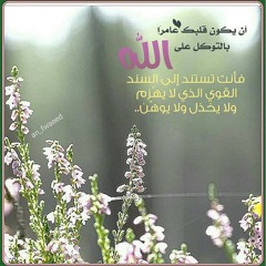 سورة ص بصوت أبو بكر الشاطري