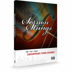 Discothèque - Session Strings