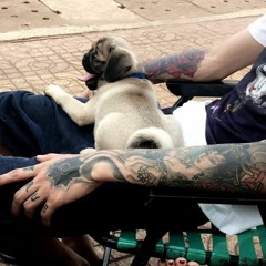 Paradise - TDJ (Remix HD)