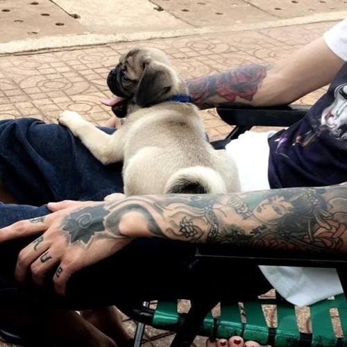 Paradise - TDJ (Remix HD)