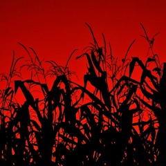 Children Of Tha Gudda Prod. By Flo Beats (Flo Genre) UNMASTERED