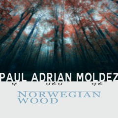 Paul Adrian | Norwegian Wood