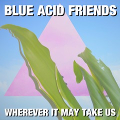 BLUE ACID FRIENDS - WHEREVER IT MAY TAKE US
