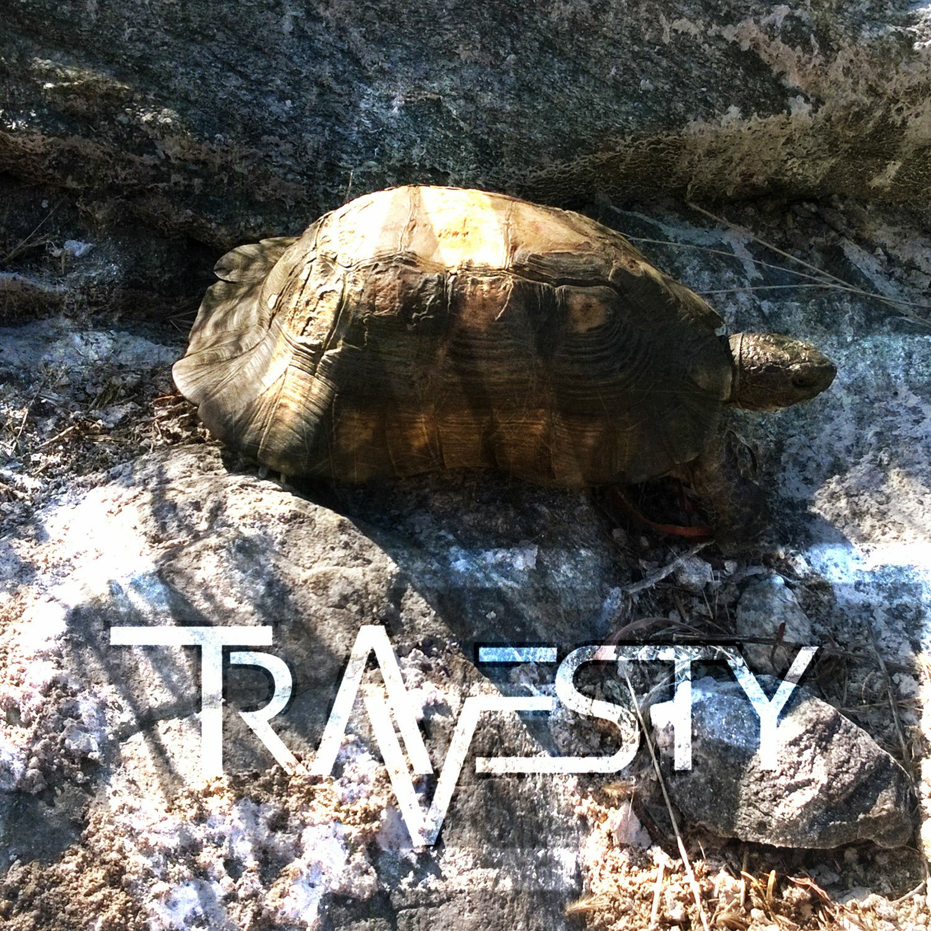 Travesty - Solace episode artwork